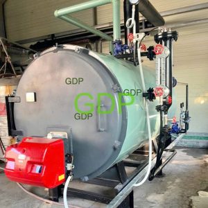 Lò hơi đốt dầu, Gas LPG, và CNG